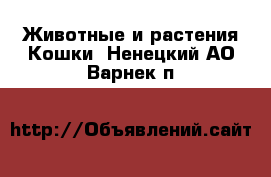 Животные и растения Кошки. Ненецкий АО,Варнек п.